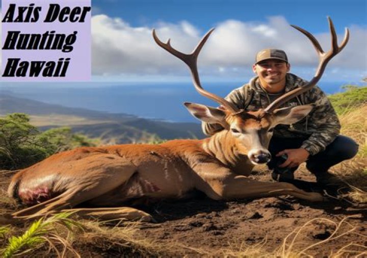 Are deer in Hawaii?
