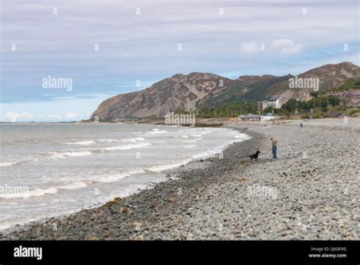 Are dogs allowed on Penmaenmawr?