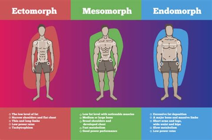 Are Endomorphs short or tall?