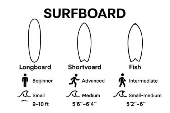 Are fish Boards good?