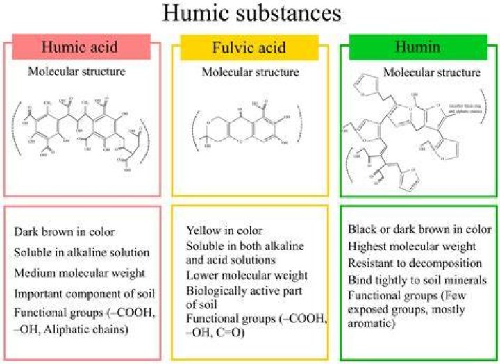 Are fulvic acids humic substances?