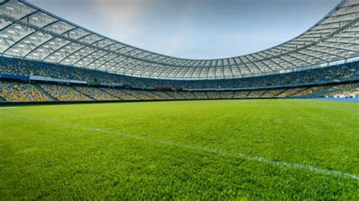 Are grass in stadium real?