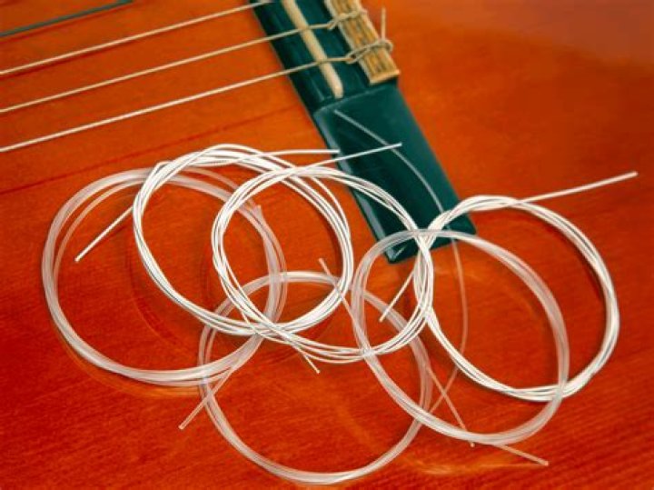 Are gut strings better than nylon?