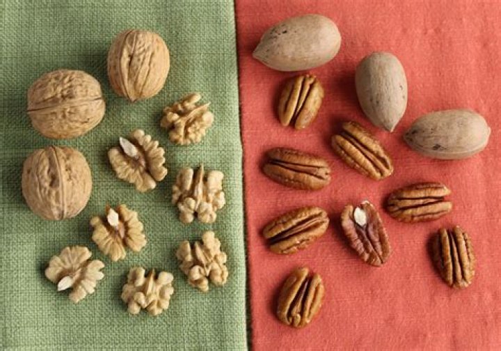Are hickory nuts and pecans related?