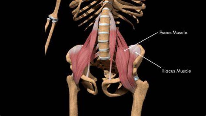 Are hip flexors and psoas the same?