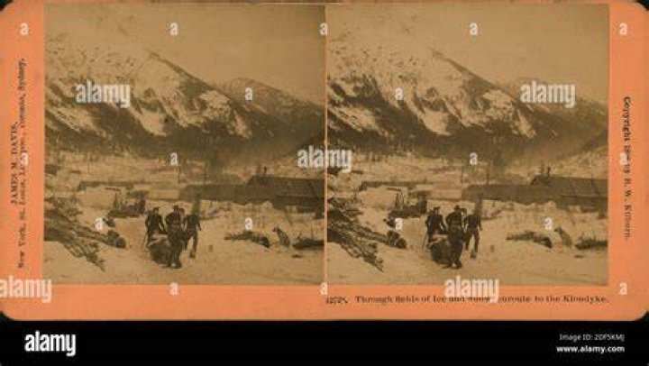 Are Klondike and Snow still alive?