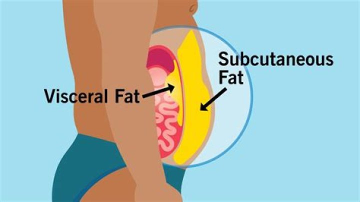 Are love handles subcutaneous or visceral fat?