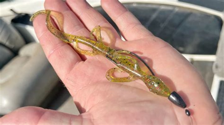 Are Nightcrawlers good bass bait?