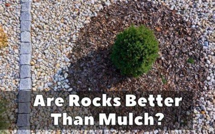 Are rocks better than mulch?