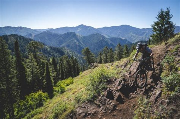 Are shorter skis better for trees?