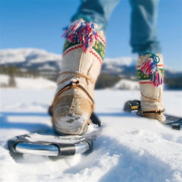 Are snowshoes fun?