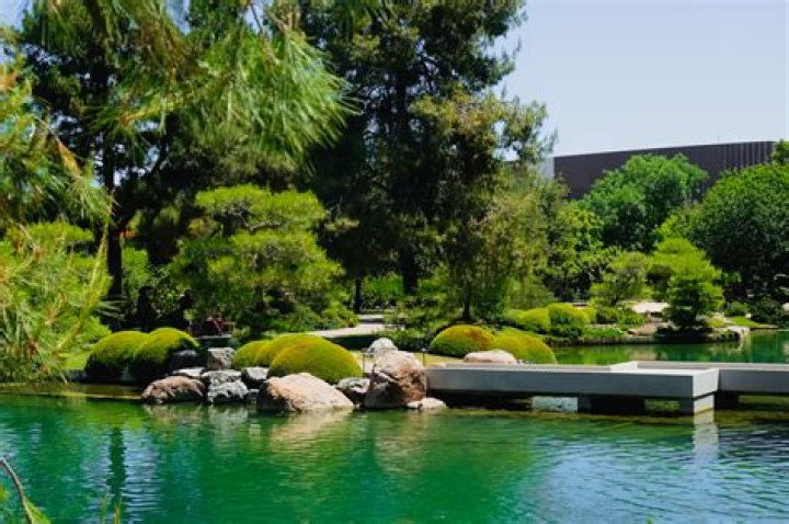 Are the Japanese Gardens dog friendly?