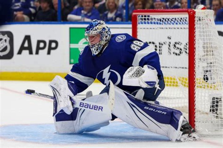 Are Vasilevskiy pads illegal?