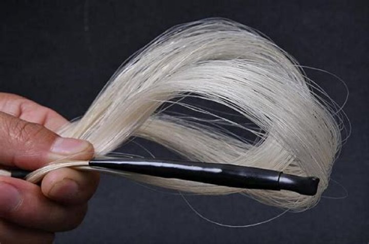 Are violin strings made out of horsehair?