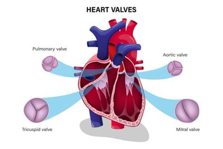 Are we born with values?