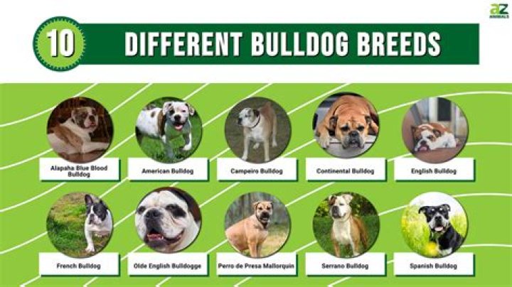 Can a bull breed his half sister?