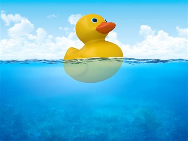 Can a Chinook float on water?