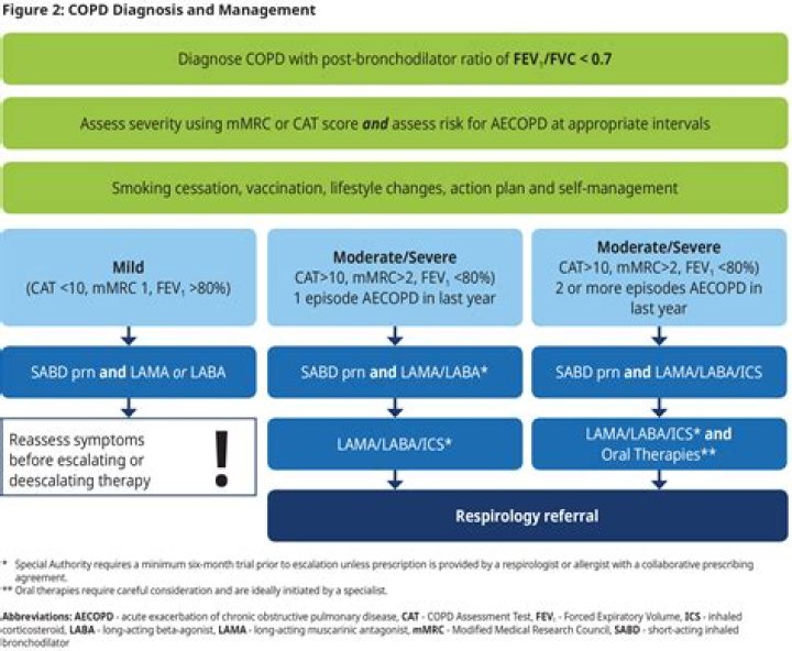 Can a COPD patient survive pneumonia?