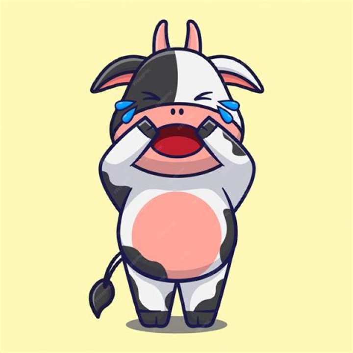 Can a cow cry?
