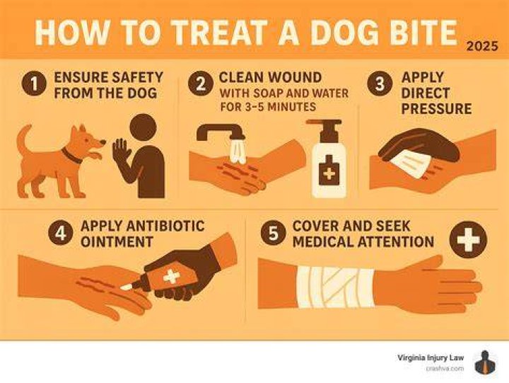 Can a dog bite give you an infection?
