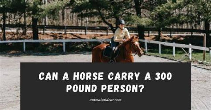 Can a horse carry a 300 pound person?