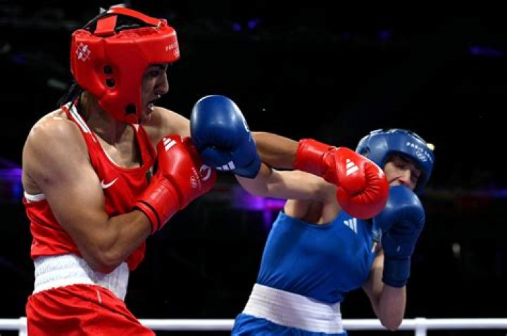 Can a pro boxer fight in the Olympics?