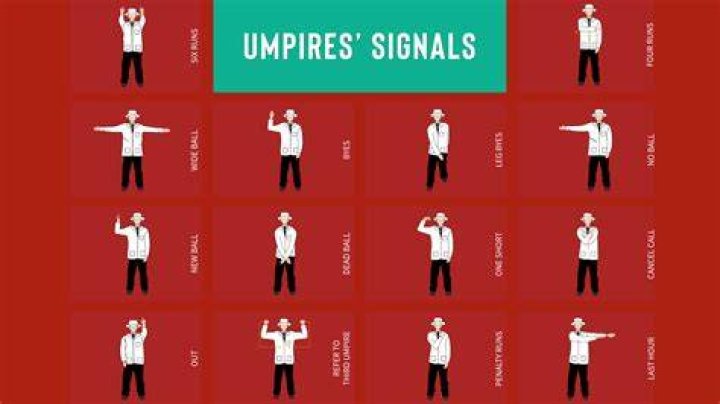Can an umpire send a player off?