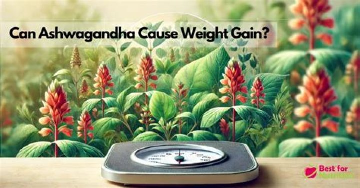 Can ashwagandha cause weight gain?