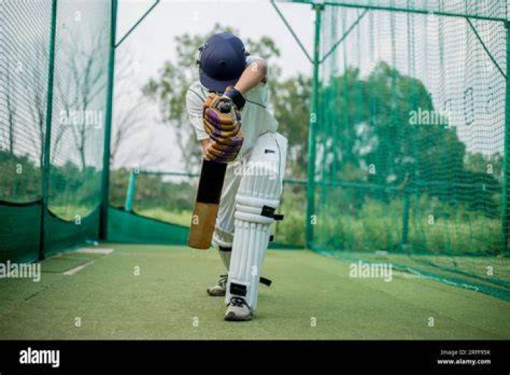 Can batsman stop the ball with hands?