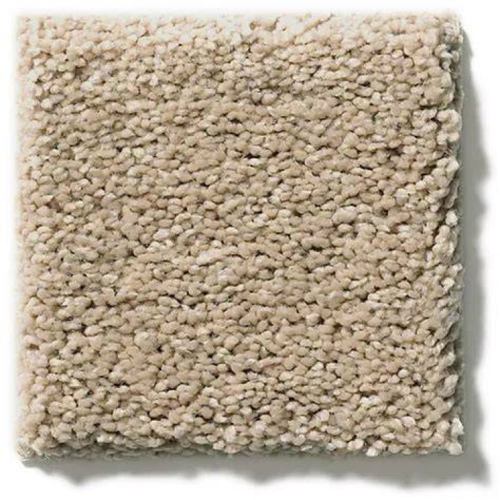 Can berber carpet be shampooed?