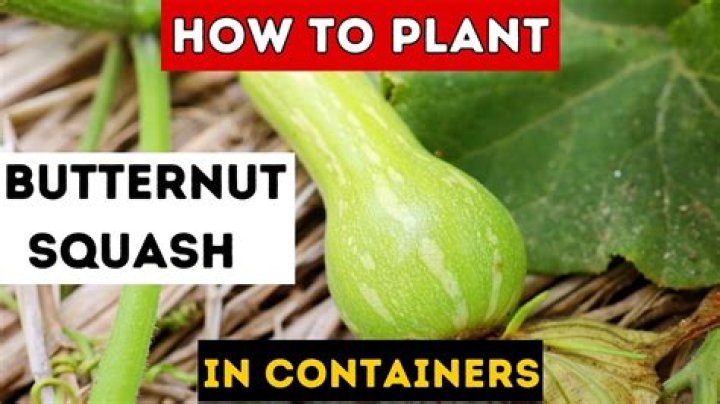 Can butternut squash make you constipated?