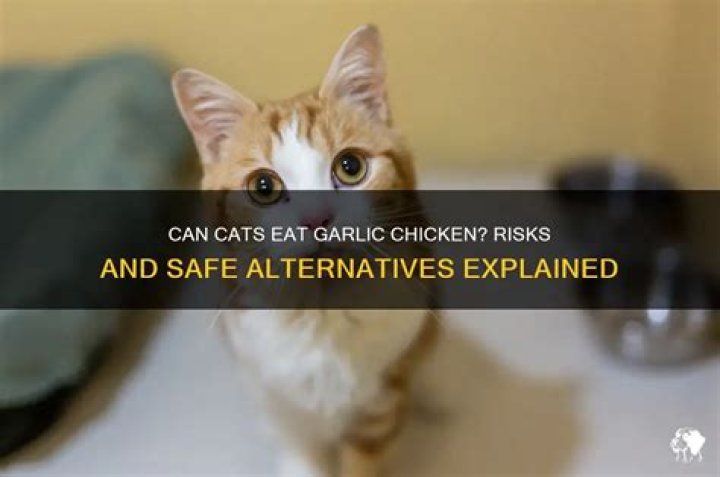 Can cats have garlic?