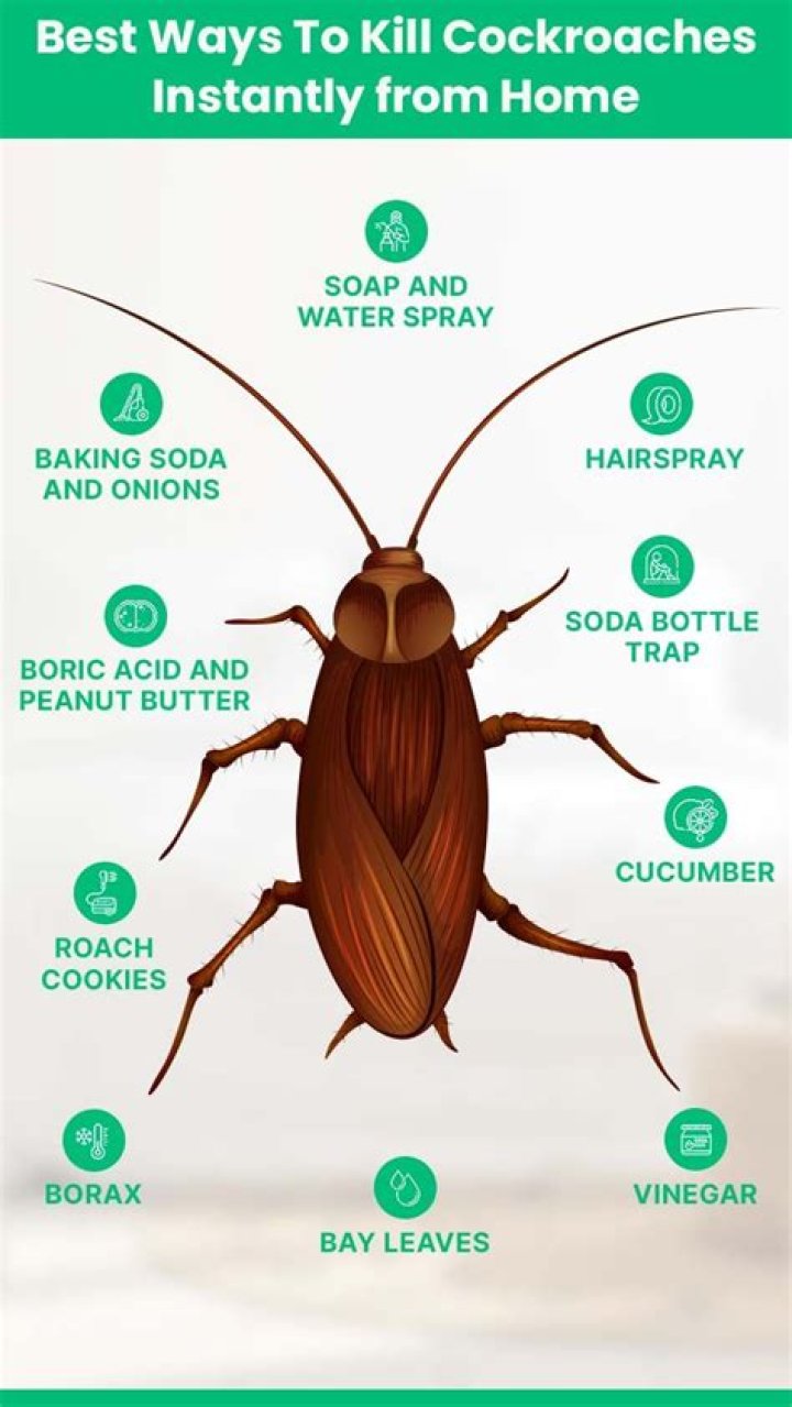 Can cockroaches get inside your body?