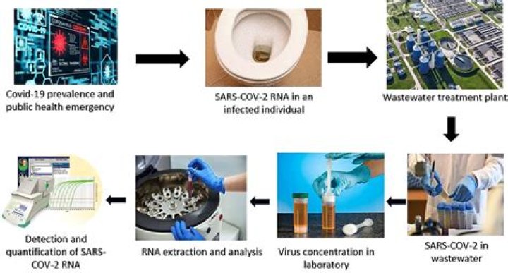 Can COVID-19 spread through sewage systems?