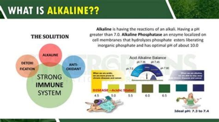 Can disease live in an alkaline body?