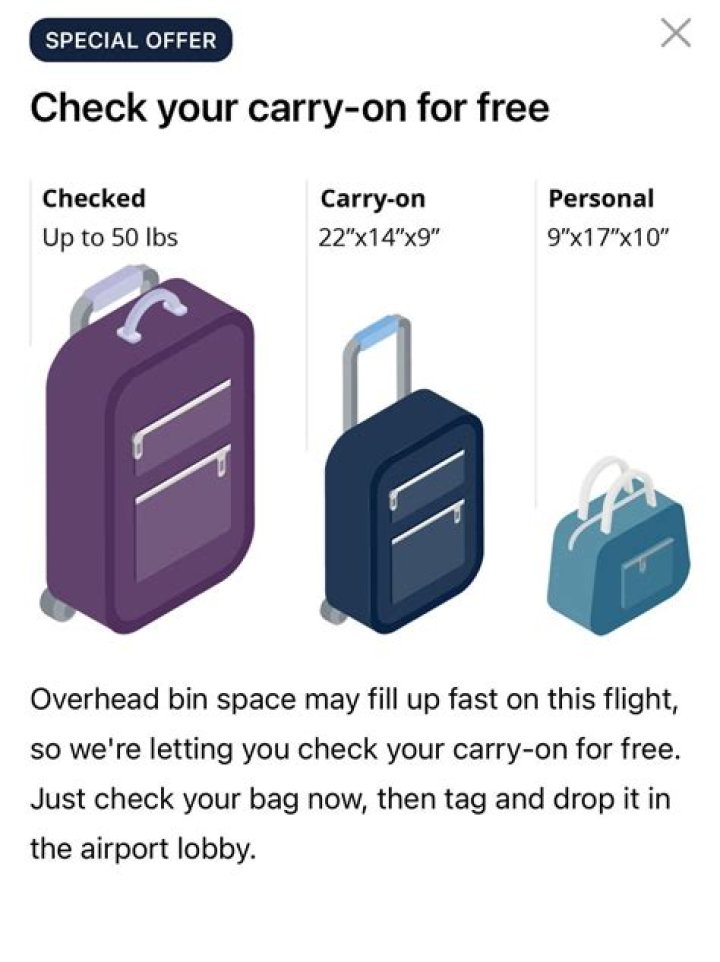 Can I bring a can of Lysol in my checked luggage?