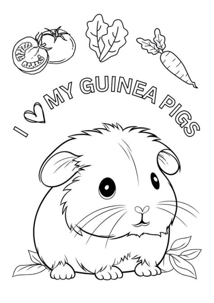 Can I let my guinea pig free?