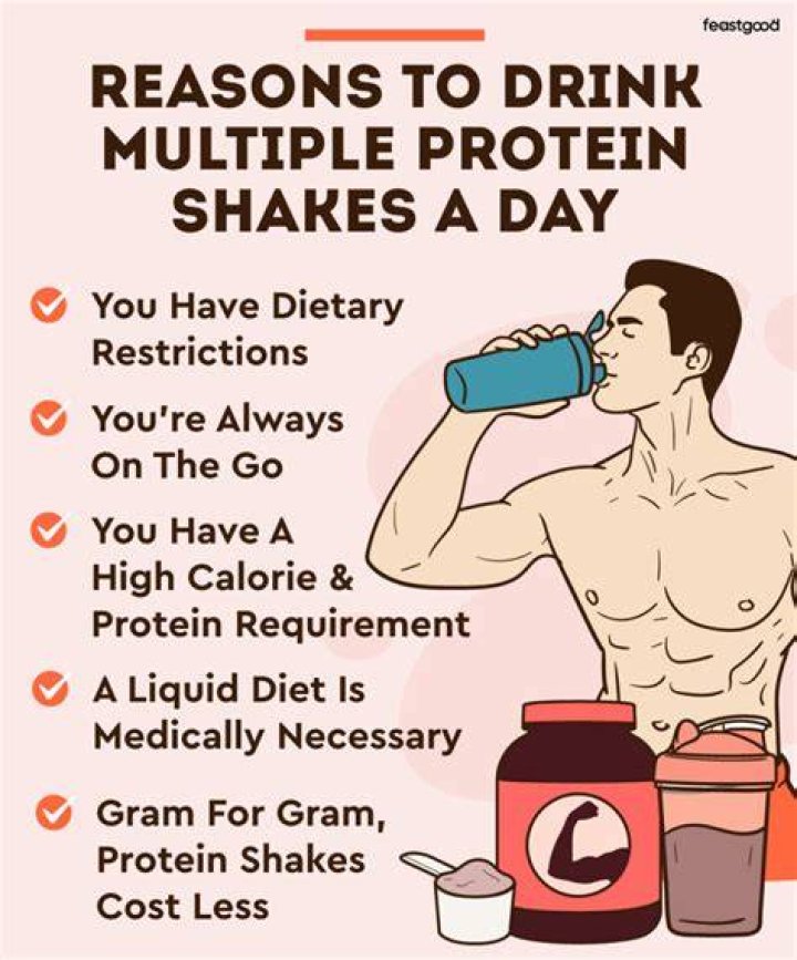 Can I lose weight only drinking protein shakes?