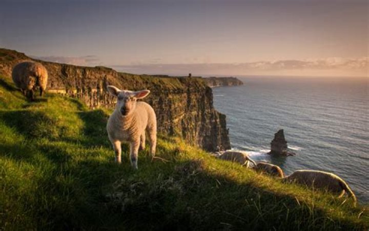 Can I move to Ireland without a job?