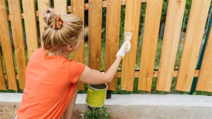 Can I paint my side of my Neighbours fence?