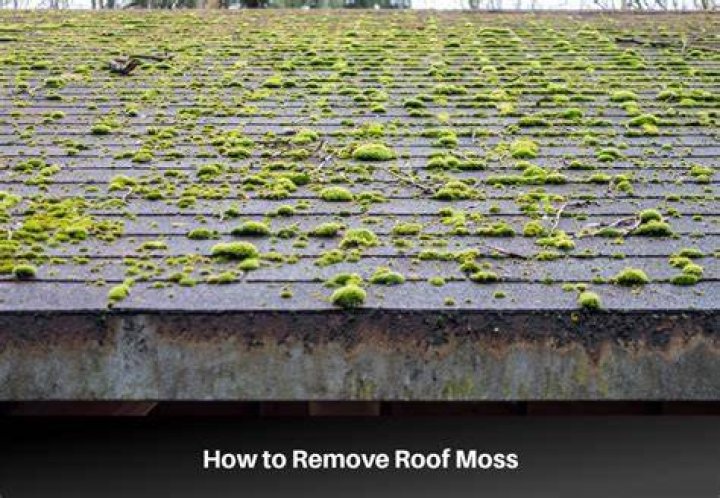 Can I seed after using moss out?