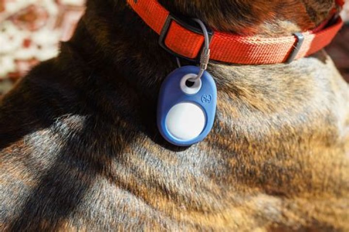 Can I track my pet with AirTag?