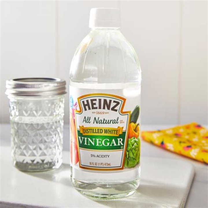 Can I use apple cider vinegar in place of white distilled vinegar?