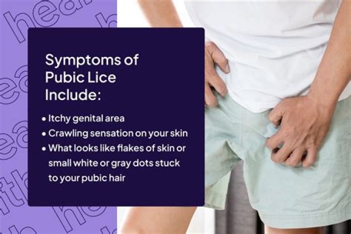 Can lice get on your body?