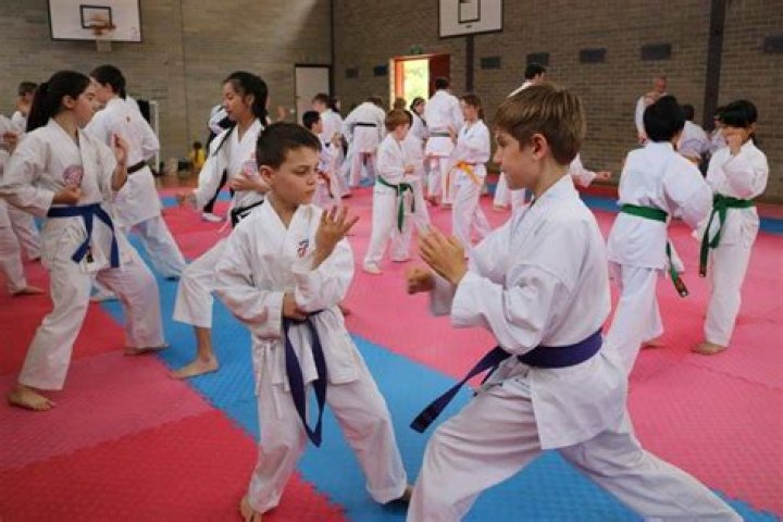 Can martial arts control our behavior?