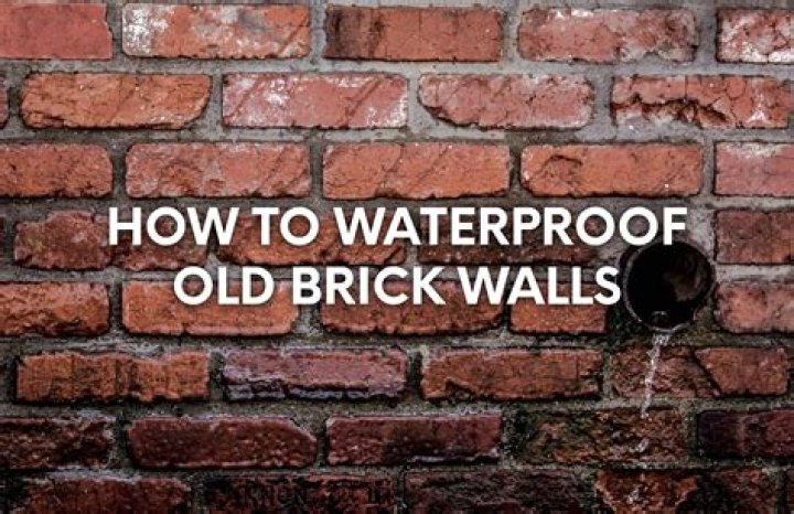 Can mice get through brick walls?