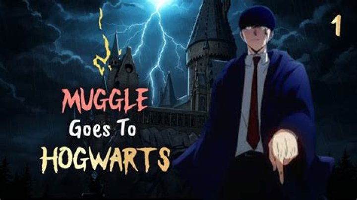 Can Muggles go to Hogwarts?