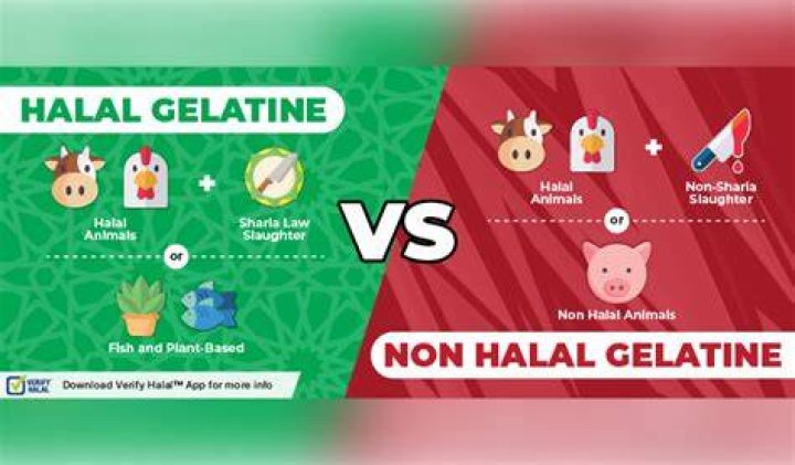 Can Muslims eat gelatin?