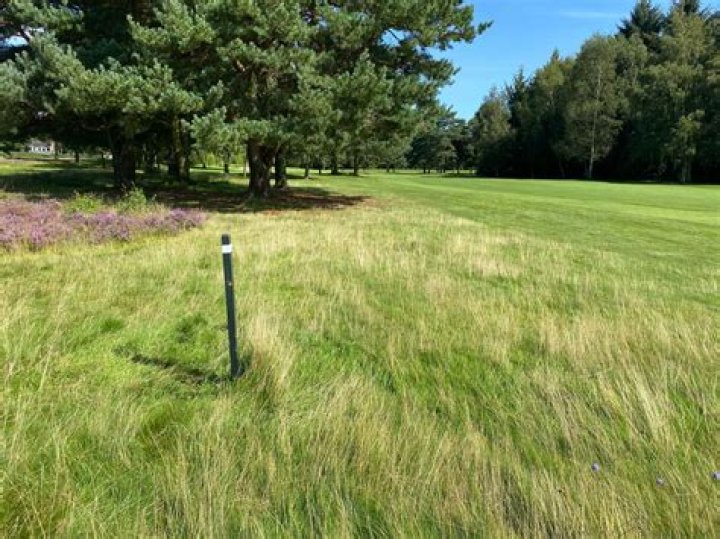 Can nearest point of relief be on the green?