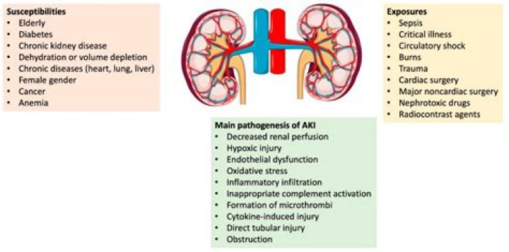 Can omeprazole cause kidney damage?